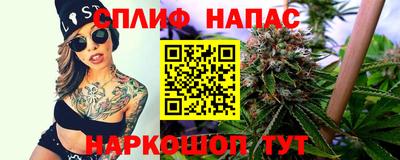 a pvp Будённовск
