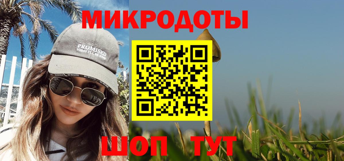 Псилоцибиновые грибы Cubensis Малгобек