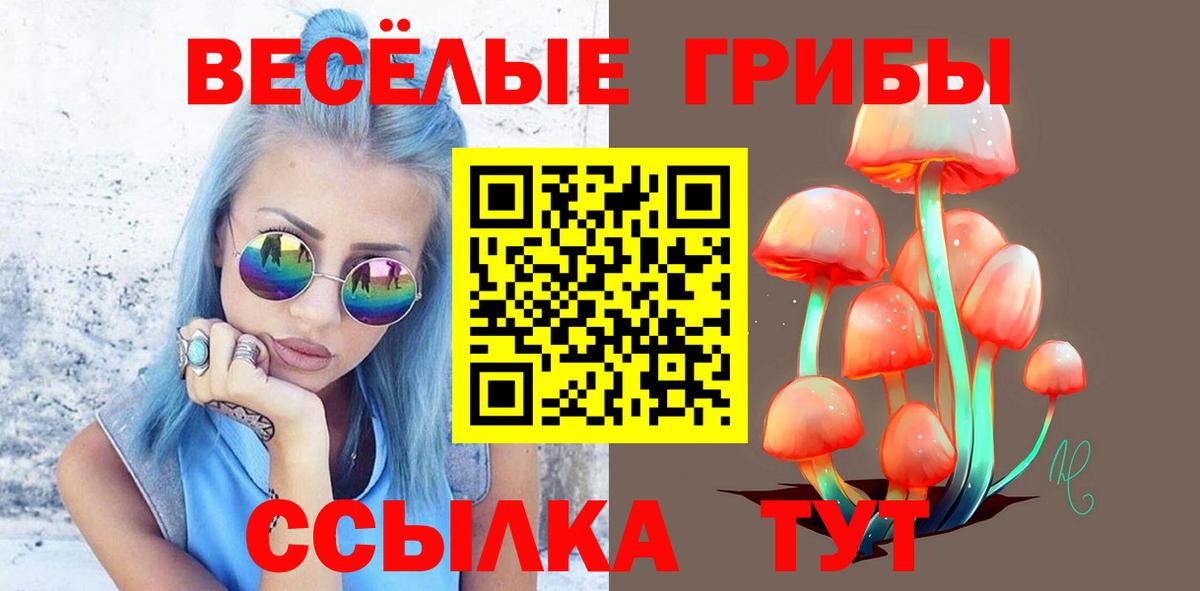 Малгобек  Галлюциногенные грибы мицелий  Вход с VPN 